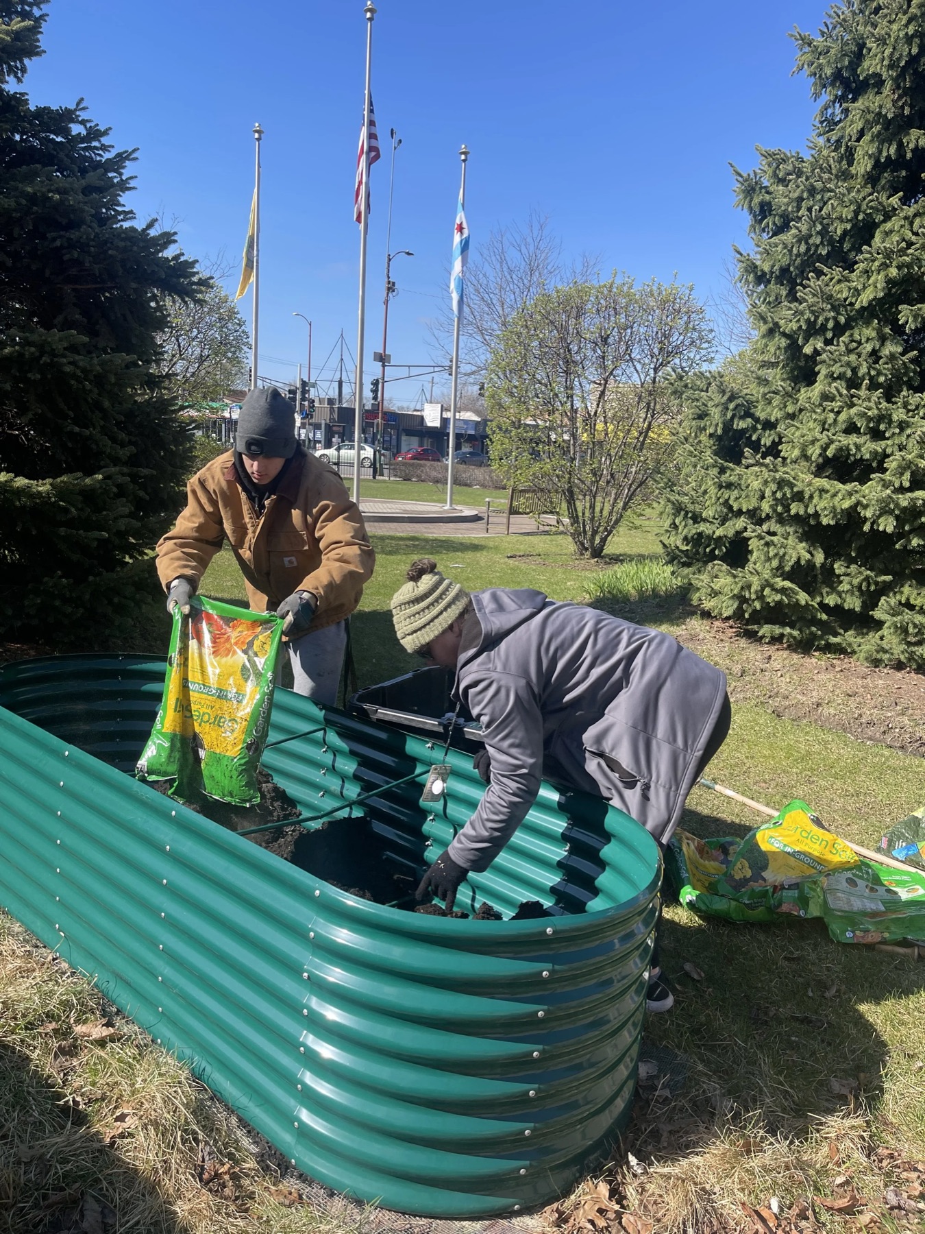 Rocco volunteering in a community garden bed